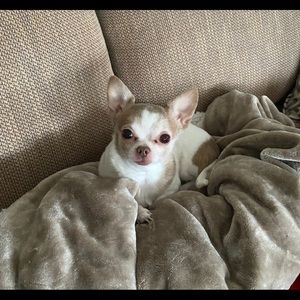 Meet your Posher, Holly